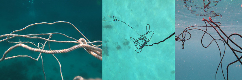 Kunst: Unterwasserfotos, Rotes Meer, mit Schnürsenkeln.