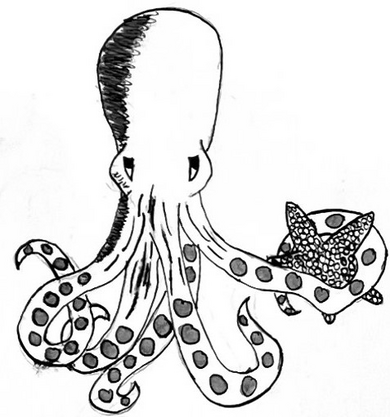 Zeichnung eines Oktopus in Schwarzweiss.