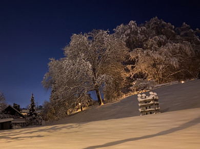 Ein verschneiter Hang mit Bäumen in der Nacht.