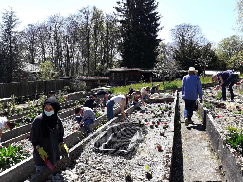 Jugendliche pflanzen Stauden in Gartenbeete.